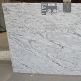  Tunder White granite